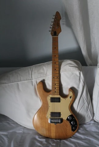 PEAVEY T 15