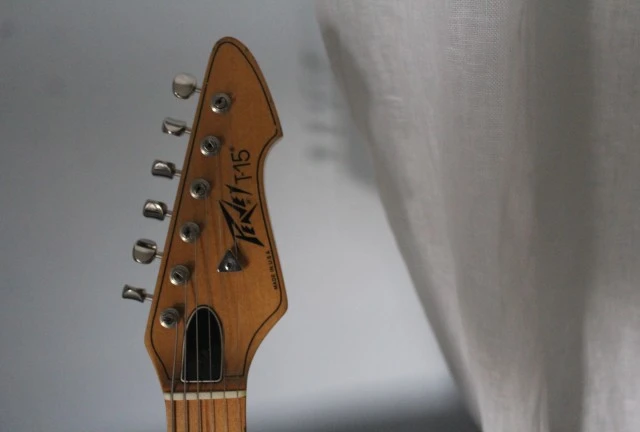 PEAVEY T 15