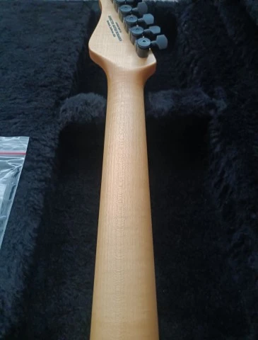 2009 Schecter Standard Custom USA