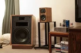 ΗΧΕΙΑ KLIPSCH HERESY II