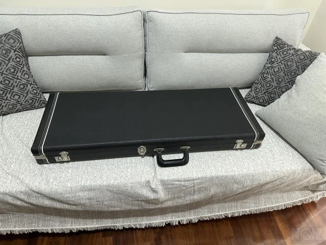 PRS original hard case Mint (custom24-22) 180€