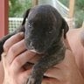 Seller Thumbnail