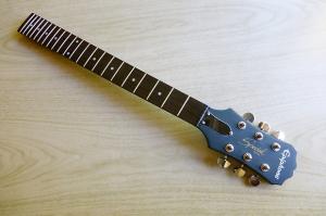 Ψάχνω μανίκι-μπράτσο για epiphone lespaul