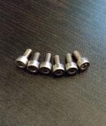 Floyd rose saddles stainless steel mounting screws