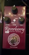 REVERBERRY ATM RLECTRONICS RUSSIA OMSK