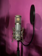 Διάσημος Κλώνος U47 Neumann _ ΝΕΑ ΤΙΜΗ