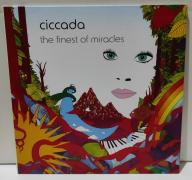 Ciccada - The Finest of Miracles