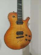 PARKER PM20 PRO seymour duncan