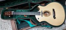 Parker P8EN acoustic guitar with RM acoustics pickup