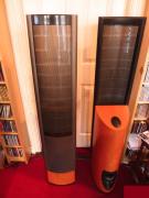 ΗΧΕΙΑ MARTIN LOGAN CLARITY
