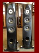 ΗΧΕΙΑ TAD PIONEER S - 1 EX