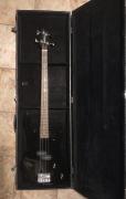 Washburn XB-100 με σκληρή θήκη βαλίτσα
