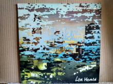 STEVE HILLAGE LIVE HERALD