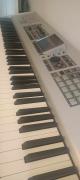 Roland Fantom X8 - 88 key