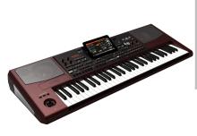 KORG PA1000