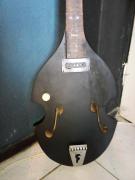 Vintage hollowbody guitar
