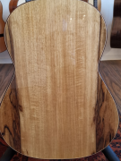 Raimundo Black Limba Tatyana Ryzhkova