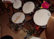 Set Drums Premier Artist Birch