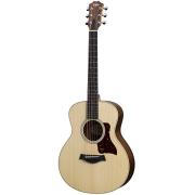 Taylor GS mini