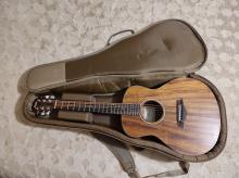 Taylor GS Mini-e Koa LH