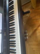 Yamaha Arius YPD 163