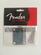 Fender Neck plate