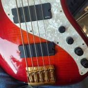 Pedulla Rapture J2000 (5 string)