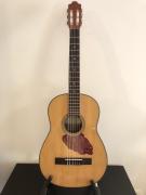 ΑΠΑΡΤΙΑΝ 1974