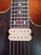 Ibanez RGEW521ZC / Dimarzio pick ups