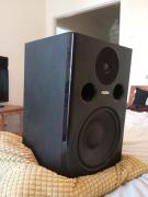 fostex pm-2 mkii monitors