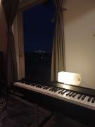 Yamaha p225 piano