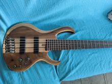 Ibanez