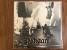 Poligam, Poligam 2LP (Wiener Brut)