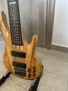 ESP LTD B206 6χορδο