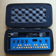 Organelle - Critter and guitari