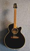 Takamine EG541SC