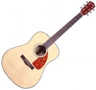 Ακουστική fender άριστη κατάσταση