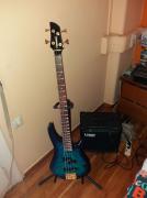 Fernandez Bass