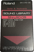 Κάρτες Roland SN-U110