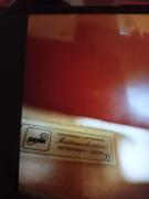 Βιολοντσέλο 3/4