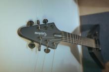 Epiphone Annihilation V 2010 - Jeff Waters
