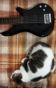 Ibanez SR305DX BK