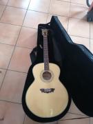 Αριστερή ακουστική Washburn J28 SDL