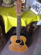 APPLAUSE AE-32 Electro-Acoustic