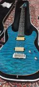 Carvin costum