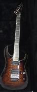 Esp horizon fr 2007