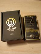 Walrus Fundamental Distortion