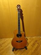 Yamaha Apx-10T 1987 Natural
