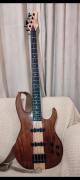 CARVIN USA 2010 ACTIVE/PASSIVE
