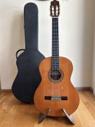Alhambra 8c + Hardcase